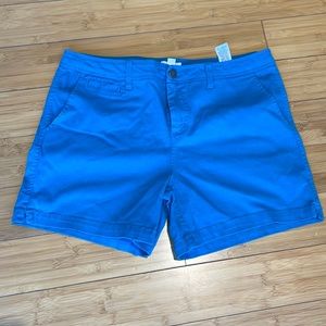 Market Spruce Shorts in Turquoise